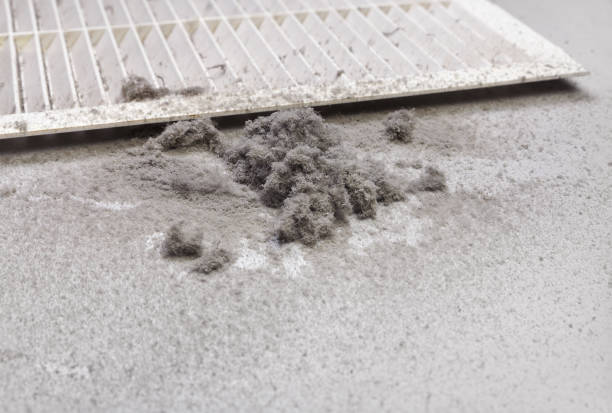 Best Professional Duct Cleaning Services  in Fulton, MD