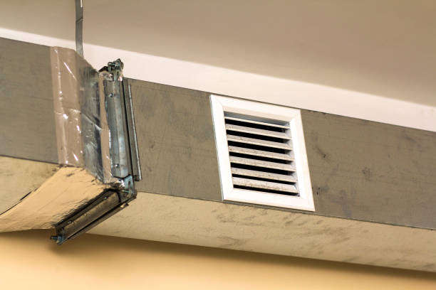 Best Air Duct Mold Removal  in Fulton, MD